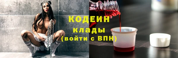 хмурый Козловка
