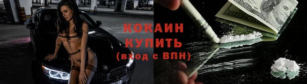 spice Козельск