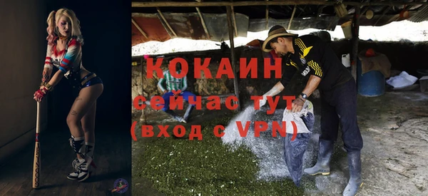мяу мяу мука Кодинск