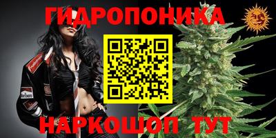 молекула духа Кулебаки
