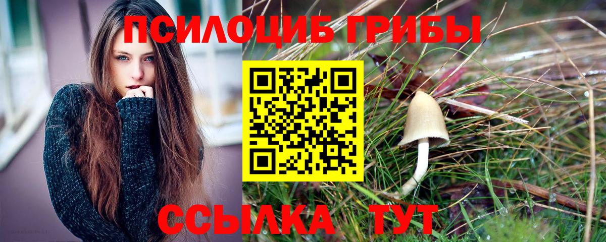 Псилоцибиновые грибы Cubensis Туапсе