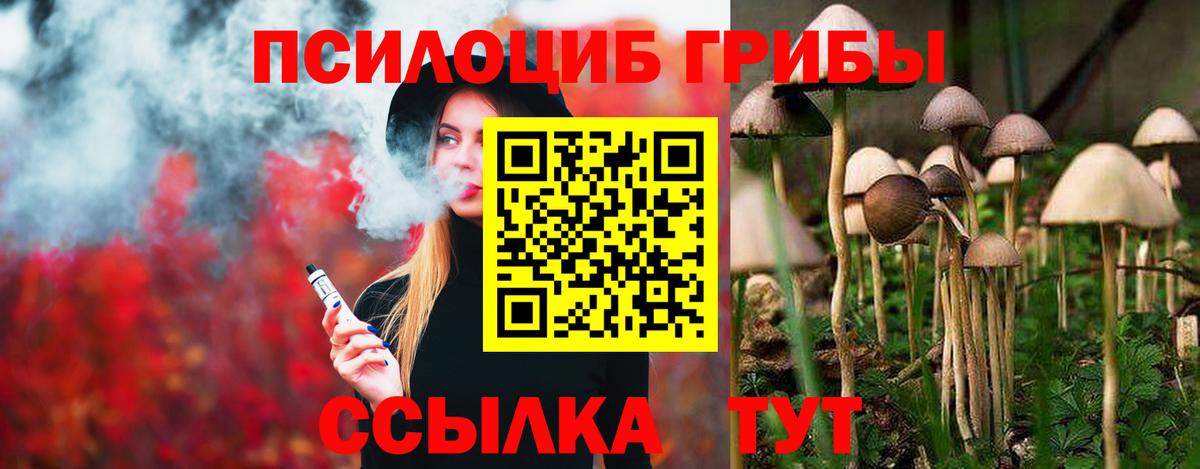 Псилоцибиновые грибы мухоморы  Галлюциногенные грибы Cubensis  Туапсе  Вход с VPN 