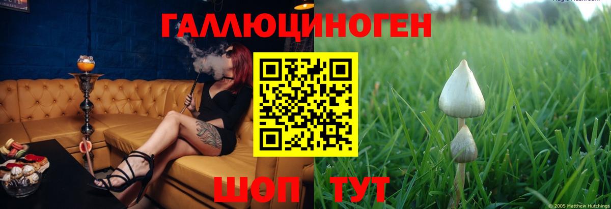Галлюциногенные грибы мицелий  Вход с VPN  Галлюциногенные грибы Cubensis  Туапсе 