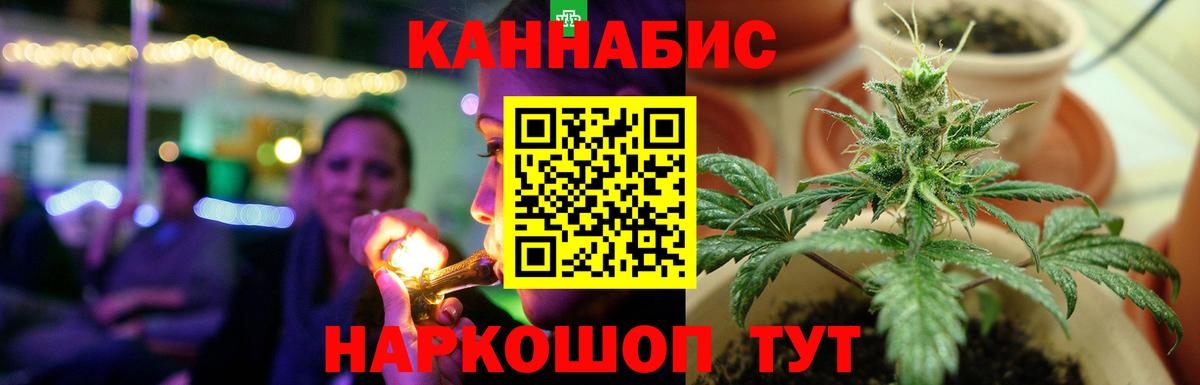 Каннабис OG Kush Туапсе